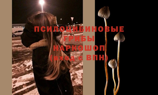 эйфоретик Кинешма